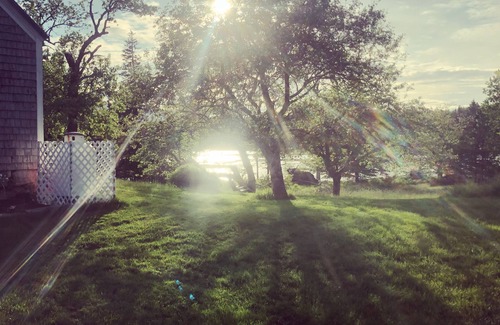 Stonington Cottage | Cozy Cottage Retreat with Ocean Access and Kayaking Fun