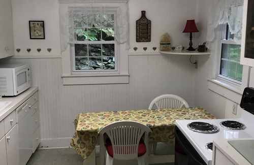 Montreat House | Historic Montreat Respite House: Pet-Friendly Retreat with Spa