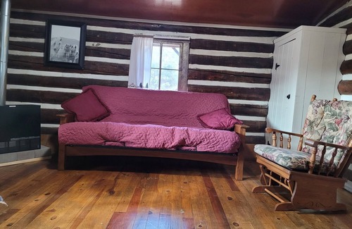 South Fork Cabin | Historic Moose Lodge Cabin: Pet Friendly & Child Welcome