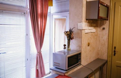 Uzhhorod Apartment | Historic Center Retreat: Pet Friendly with Hot Tub Access