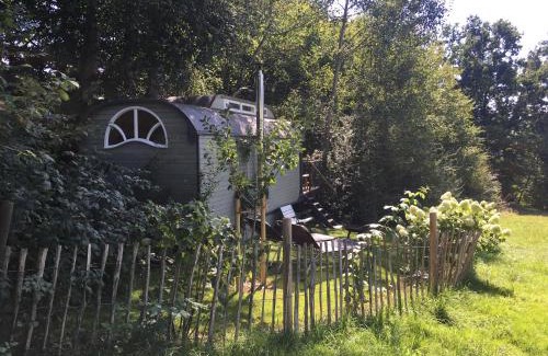 Fischach Other | Enchanting Vintage Circus Wagon Surrounded by Nature