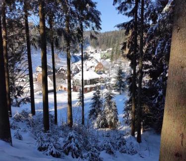 Muhlleithen House | Historic Aschberg Haisl: Family-Friendly Retreat with Garden