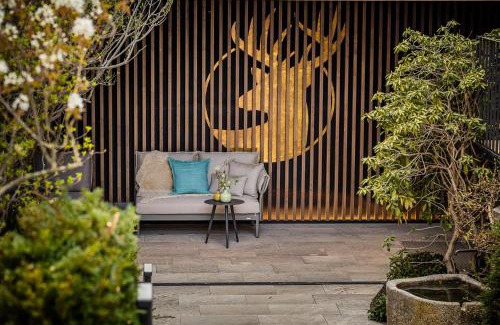 Gaienhofen Hotel | Historic Gasthaus Hirschen Horn: 9/10 Rated Oceanfront Escape