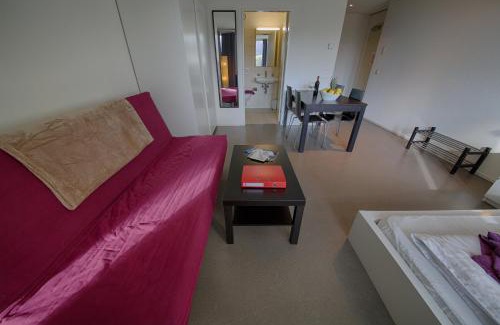 Lucerne Apartment | Pet-Friendly HITrental Allmend Comfort Studios Await You