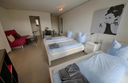 Lucerne Apartment | Comfortable HITrental Allmend Studios: Pet & Child Friendly