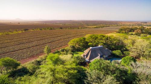 Hluhluwe Villa | Discover ANEW Lodge Hluhluwe: Pool, Breakfast & High Ratings