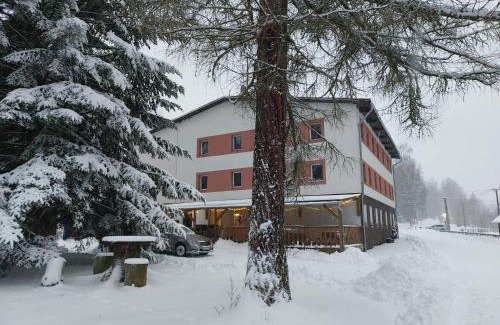 Bartosovice v Orlickych horach Hotel | Discover Comfort at Hotel Bartošovice – Pet Friendly Retreat