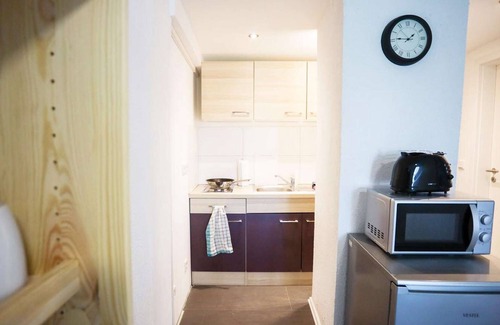 Gottmadingen Apartment | HÖ01 large apartment with dryer and washing machine