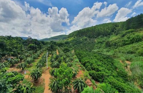 Da Lat House | Discover Hoa Sơn Điền Viên Homestay: Family-Friendly Retreat