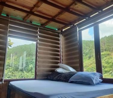 Da Lat House | Discover Hoa Sơn Điền Viên Homestay: Family-Friendly Retreat