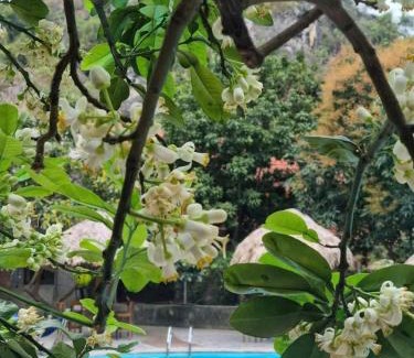 Hoa Lu House | Relax at Hoalu Ecolodge Homestay: Oceanfront Retreat