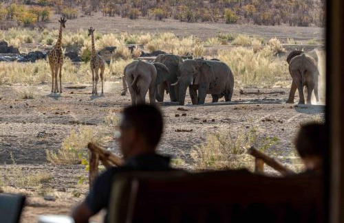 Kowares Cabin | Hobatere Lodge: Oceanfront Retreat with Family-Friendly Perks
