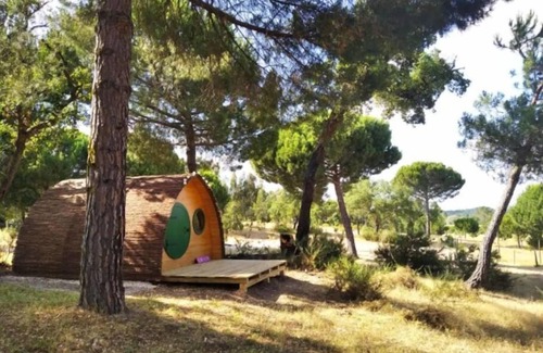 Vale de Mulheres House | Quinta Alada: Unique Hobbit House with Spa & Breakfast