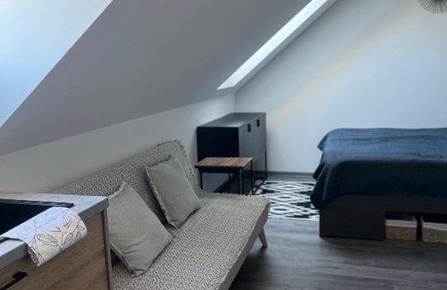 Cerna V Posumavi Apartment | Pet-Friendly Hobití Apartmán - Frodo with Ocean View