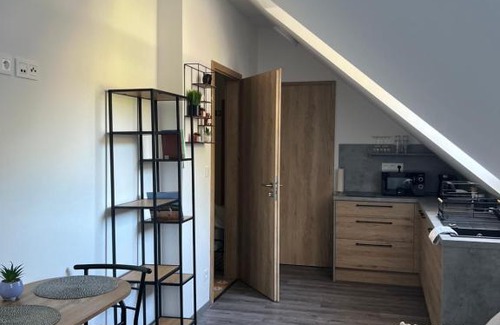 Cerna V Posumavi Apartment | Pet-Friendly Hobití Apartmán - Frodo with Ocean View