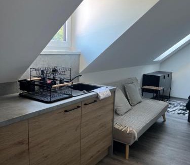 Cerna V Posumavi Apartment | Pet-Friendly Hobití Apartmán - Frodo with Ocean View
