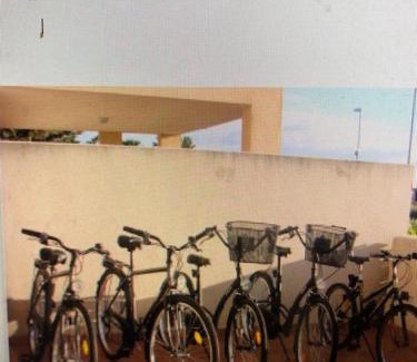 Coursan Apartment | Pet-Friendly Hoche Hotel: Guest Rated 9.5/10