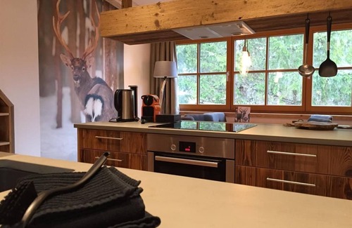 Muehlbach Am Hochkoenig Apartment | Relaxing Getaway at Hochkönig - MandlWand Lodge