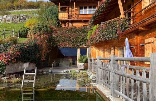 Aschau Im Zillertal Apartment | Inviting HochLeger - Chalet Refugium am Berg with Pool & Hot Tub
