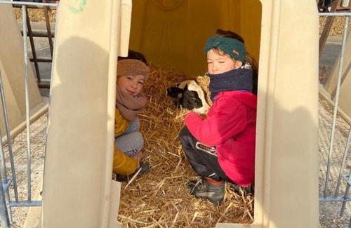 Neerpelt House | Discover Hoevetoerisme Op 't Zand: Child-Friendly Retreat