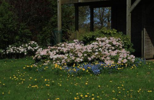 Gueby Apartment | Hof Eckhorst: Family-Friendly Retreat with Hot Tub Access