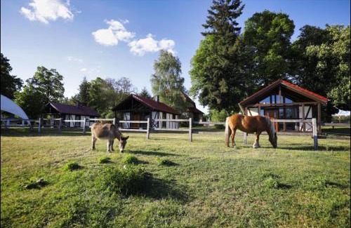 Schorfheide Apartment | Family-Friendly Retreat at Hof Lillge with Great Reviews