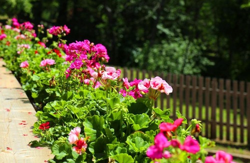 Loffingen Apartment | Discover Hof Stallegg: Pet-Friendly Retreat for Families