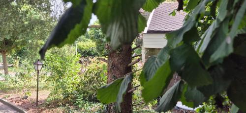 Sellingen Bed & Breakfast | Pet-Friendly Hof van Sellingen with Family Amenities