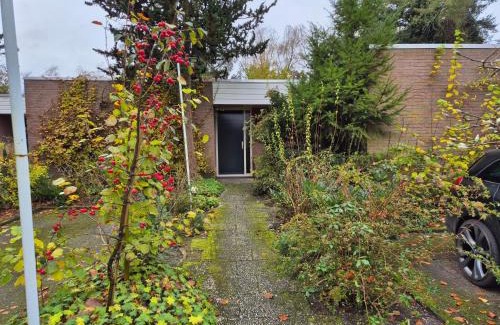 Sellingen Bed & Breakfast | Pet-Friendly Hof van Sellingen with Family Amenities