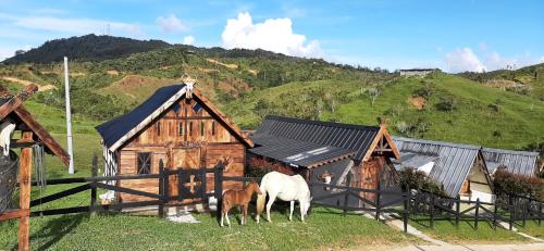 Medellin Other | Experience Hoguera del Nómada: Family and Pet-Friendly Stay