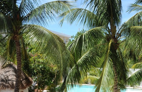 Downtown Holbox House | Holbox Casablanca private house (10 people)