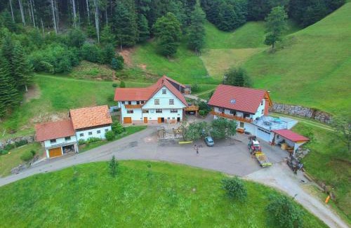 Bad Peterstal-Griesbach Apartment | Exceptional Holderstanzenhof: Pet-Friendly & Family-Oriented