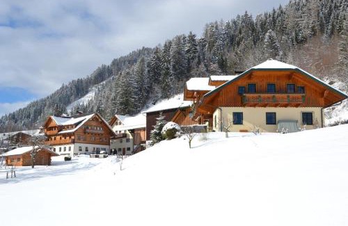 Schladming Apartment | Exceptional Holdhäusl: Family-Friendly with Breakfast Included