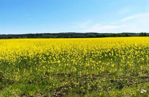 Eldsberga House | Pet-Friendly Holiday Stay in Eldsberga Near Halmstad