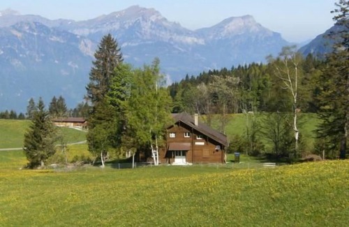Buerglen Ski Chalet | Cozy Holiday Apartment Haldi for Families with Great Amenities