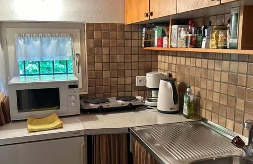 Ronco sopra Ascona Apartment | Cozy Holiday Apartment in Ronco sopra Ascona for 2 Guests