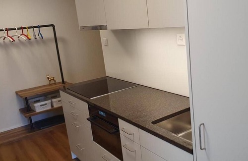 Acletta Apartment | Welcoming Holiday Apartment in Disentis for Families