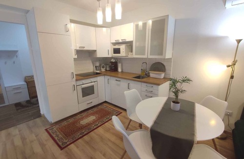 Balatonfenyves Apartment | Modern Waterfront Apartment with Air Conditioning & Ocean Views