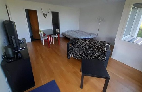 Aeschi bei Spiez Apartment | Holiday apartment Aeschiried for 2 persons - Holiday apartment