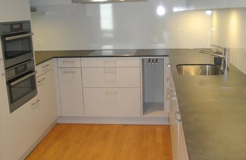 Haslen Apartment | Cozy Holiday Apartment Appenzell for 4 with Kitchen