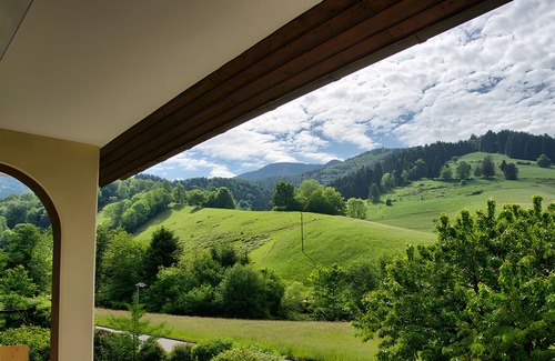 Untermunstertal Apartment | Holiday Apartment 'Belchen, Type B' with Mountain View, Balcony and Wi-Fi in Münstertal