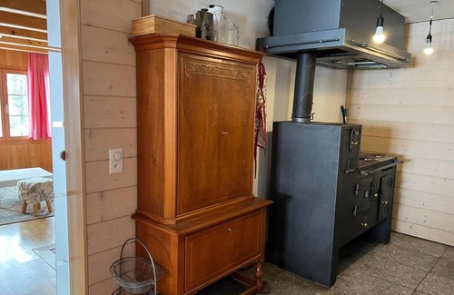 Reichenbach Other | Cozy Holiday Apartment Schattenhalb for 2-5 Guests