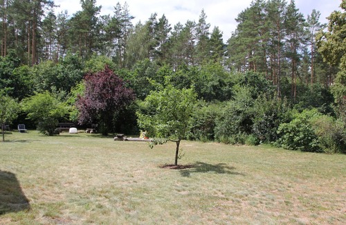 Muritz Apartment | Cozy Holiday Apartment "Fish Eagle's Nest" in Müritz Park