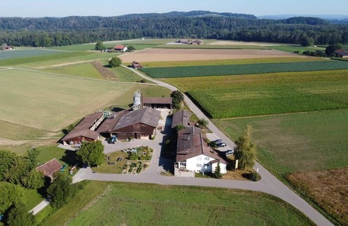 Andelfingen District Apartment | Cozy Holiday Apartment Flaach with Pool & Great Reviews