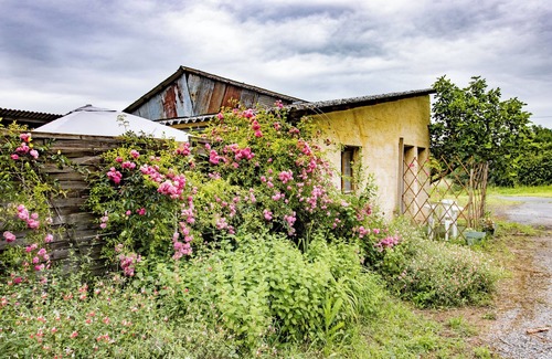 Saint-Cyprien Apartment | Cozy Mini Loft Retreat with Garden & Free Wi-Fi Access