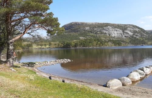 Lauvsnes Apartment | Top-Rated Holiday Apartment in Flatanger for Families