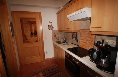 Russbach am Pass Gschuett Apartment | Cozy Holiday Apartment in Rußbach am Paß Gschütt for 4