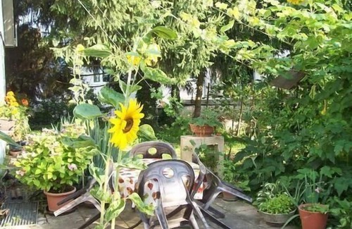 Vogtsburg Apartment | Pet-Friendly Holiday Apartment Schelingen for 4 Guests