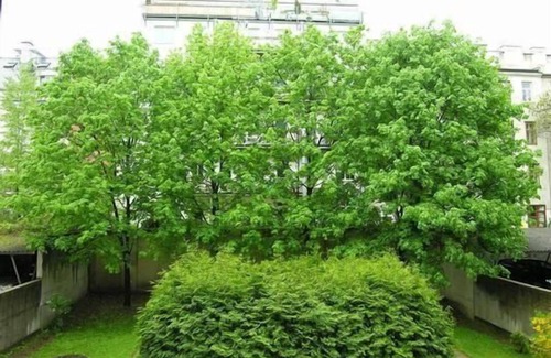 Penzing Apartment | Cozy Holiday Apartment in Vienna for 1-2 Guests
