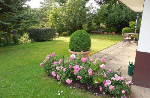 Horle Apartment | Cozy Holiday Apartment in Volkmarsen for Up to 3 Guests